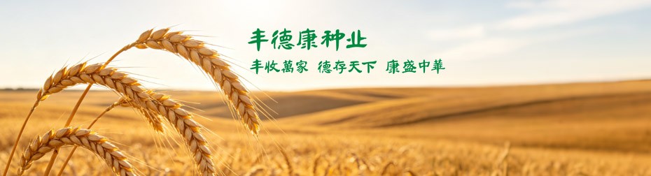 未标题-1.jpg