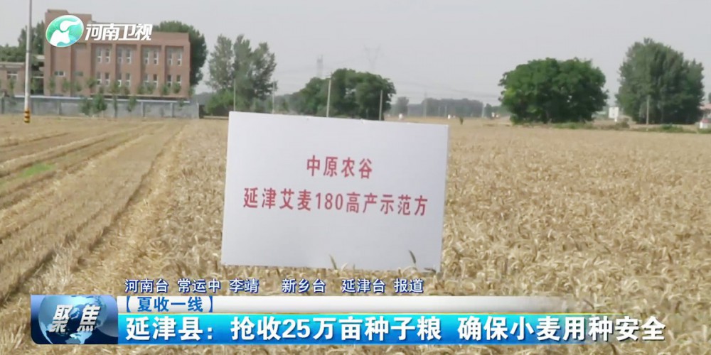 艾麦180